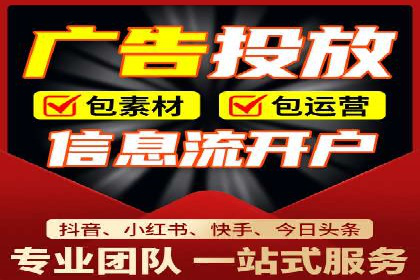百度竞价托管运营成功案例解析