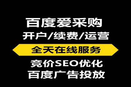百度竞价赚钱攻略：实战案例分享